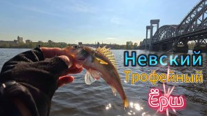 ЛОВЛЯ ТРОФЕЙНОГО ХИЩНИКА РЫБНЫЙ ДЕНЬ РЕКИ НЕВЫ МАЙ 2025