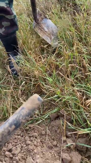 #metaldetector #xpdeus2 #minelabmanticore #xporx #minelabequinox900 #металлоискатель смотреть онлайн