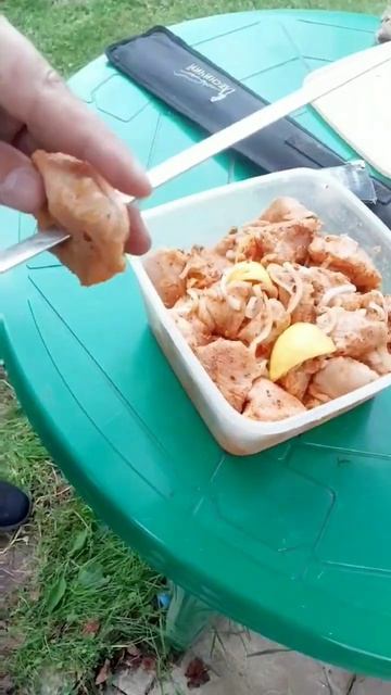Вкуснейший шашлык из индейки и шаурма на углях. Ничего смотреть онлайн