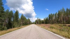 Tana9.13 (Kevin Tucker) - BIG DOG SHYT