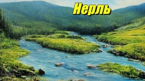 Нерль