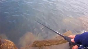 Катушка для спиннинга TSURINOYA.