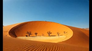 Kitten's Journey to Namibia_ The Epic Conclusion