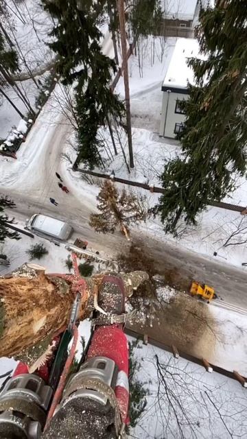 Про токсичных клиентов 🙃#shorts #заборы #дом #сочи #котте смотреть онлайн