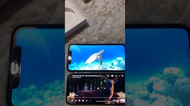 iPhone 12 тест 4 к видео на айфоне 12 /часть 1 смотреть онлайн