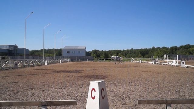 Троеборная езда Александра Сизова на Грее