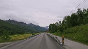 Ляма Новогодняя