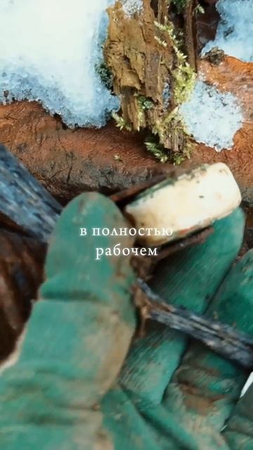 ГДЕ ПРЯТАЛИ ЗОЛОТЫЕ МОНЕТЫ 😎🔥ОТКРЫЛ ГЛАВНЫЙ СЕКРЕТ? смотреть онлайн