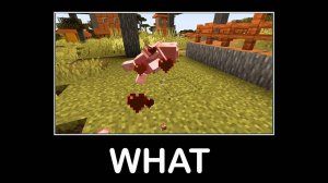Подождите, что за Майнкрафт #9