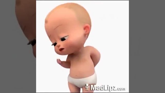 Адыгэ босс молокоссос