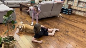 Тренировка джиу-джитсу для детей: учимся бороться! 💪?