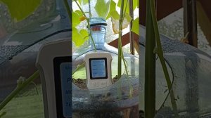 тестер кислотности, влажности и температуры почвы