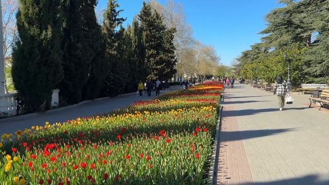 ПАРАД ТЮЛЬПАНОВ в Севастополе 2025-ОБАЛДЕТЬ! Во что ПРЕВ