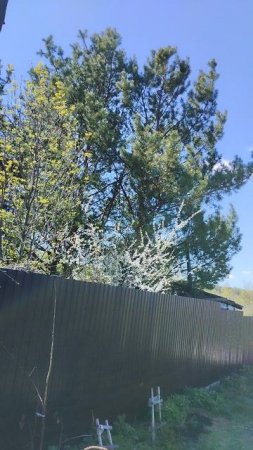 дача за городом