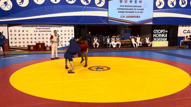 Александр-Шайн смотреть онлайн