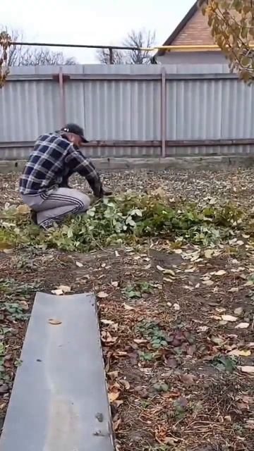 ТЕСТ АККУМУЛЯТОРНОГО СЕКАТОРА #город61 #секатор #тестс? смотреть онлайн