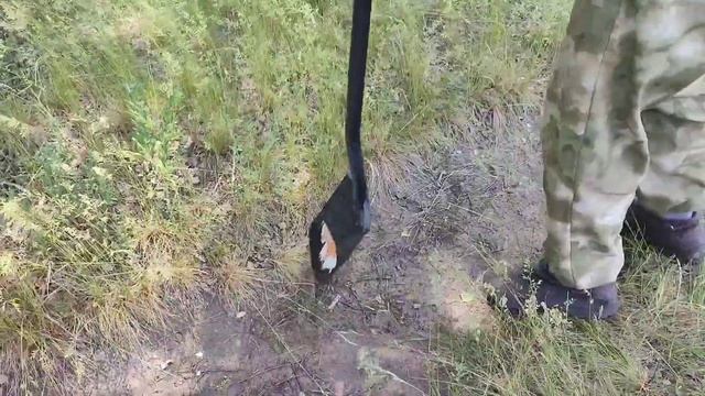 мд 4030 р серебрянное кольцо смотреть онлайн