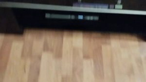 Открытие DVD-диска Лунтик: "Сластёна".