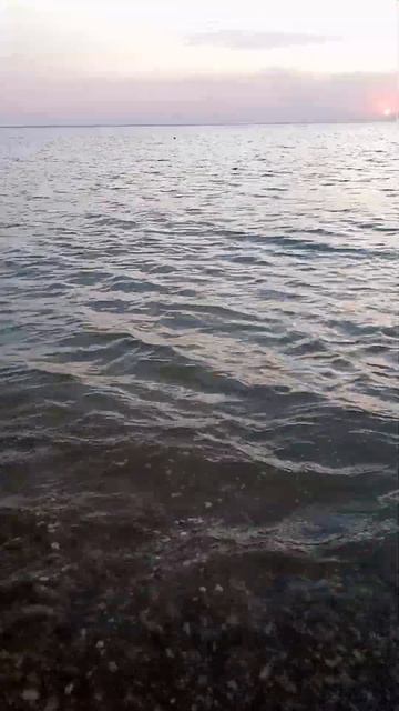 #море #shots июль 2024 смотреть онлайн