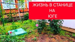 486 🏠 Жизнь в станице на Кубани. Теперь знаем как их спасти.Будем Заводить.Тут кругом дыры.