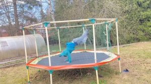 САМЫЕ КРУТЫЕ ТРЮКИ НА БАТУТЕ!