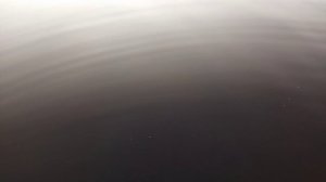 рыбалка на Карельском озере
