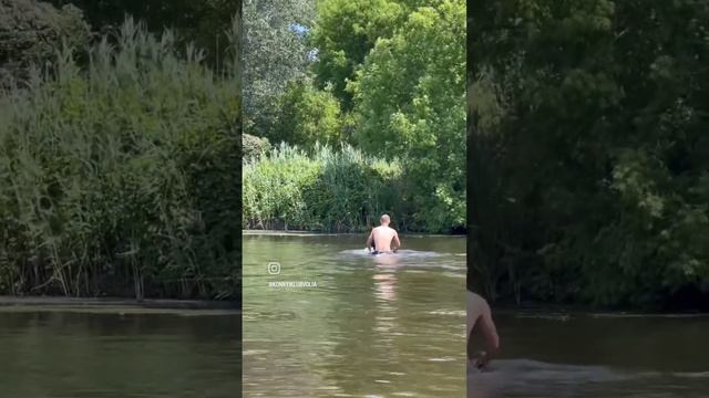 #війна_в_україні #купить #топ #гумор #собака #коні #equestrian смотреть онлайн