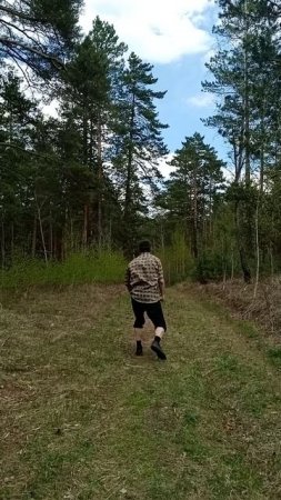 Кунг-фу 3 shorts