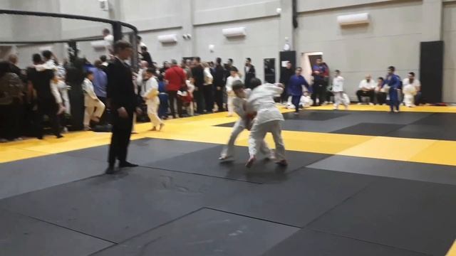 ВОЛОДАРЬ. Dzhamalov Amir 8.12.2024.  Дзюдо. смотреть онлайн