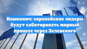 Кошкович: европейские лидеры будут саботировать мирный процесс через Зеленского