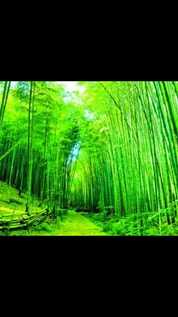 Море и песок наши лучшие друзья. смотреть онлайн