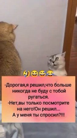 А у меня ты спросил?