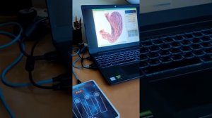 Как работает прибор  Mageric