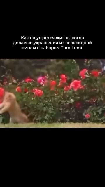 Все так! Tumilumi — творческие наборы с эпоксидной UV-смоло
