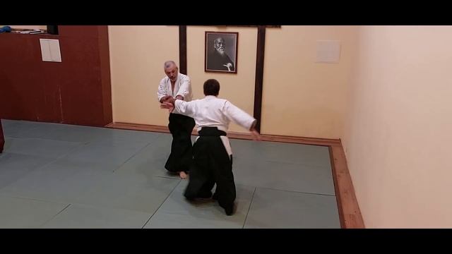 Айкидо (икке и сихонаге)