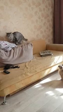 решил докопаться