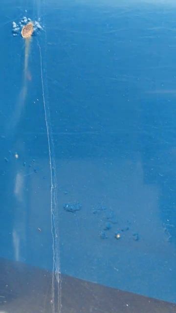 skull titanium #biryukoff #нива #vlog смотреть онлайн