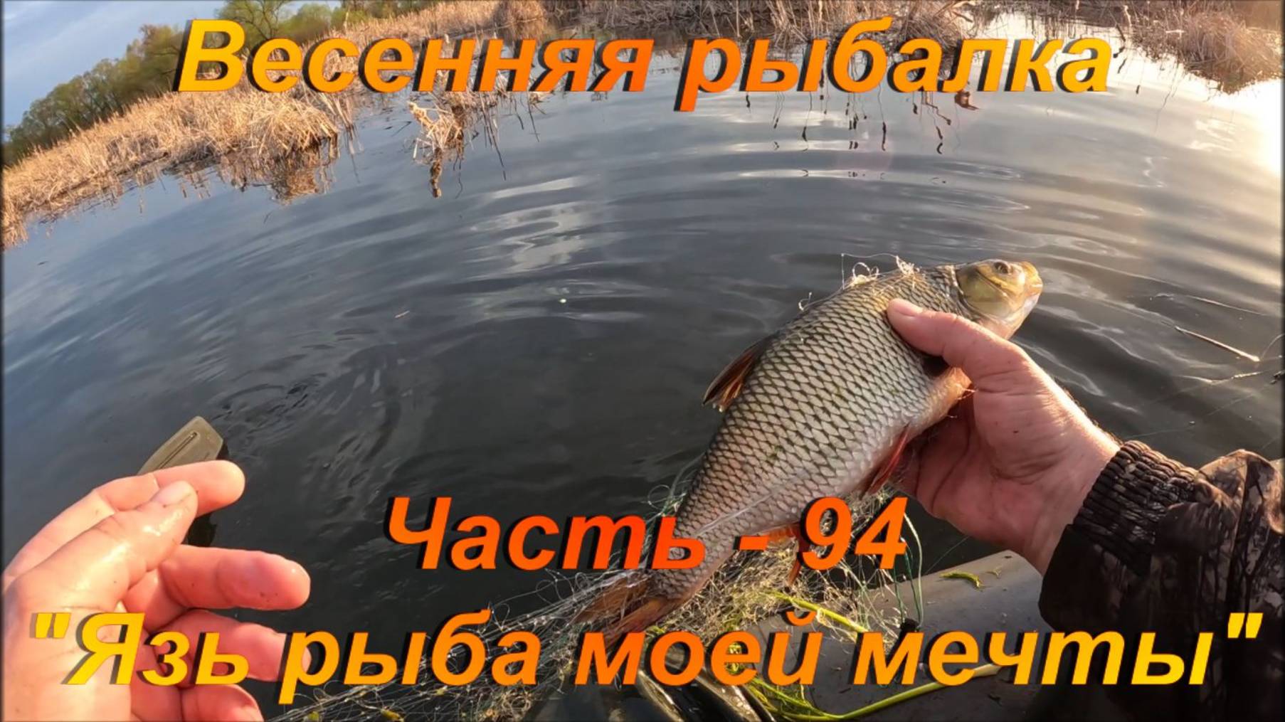 Весенняя рыбалка. Часть - 94. "Язь рыба моей мечты".