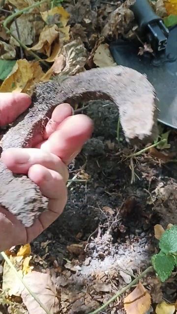 Время зажало эту находку в корнях!!! Лесной коп металло смотреть онлайн