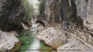 Это видео - как глоток свежего воздуха для души! - Gangsta Love Boat -- Monolog Rockstars -- Groene