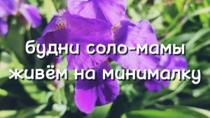 ОДНА С ДВУМЯ ДЕТЬМИ ЖИВУ НА МИНИМАЛКУ