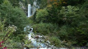 Видео, которое можно понять только с чипом в мозге - или можно - Corporate Advert -- Scott Holmes Mu