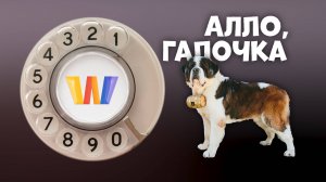 Алло, Галочка? #27 (86) третий сезон