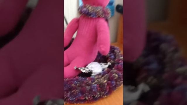 видео как носок живёт смотреть онлайн