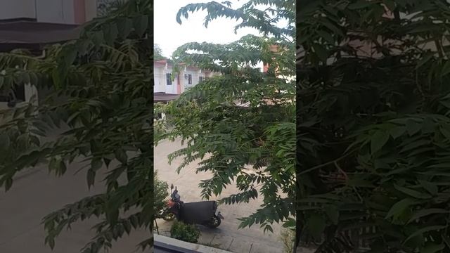 Собеседование на Удаленку:  Работа Мечты Онлайн) #онлайнработа #удаленка #собеседование