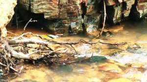 Долина нарзанов в 2025 году