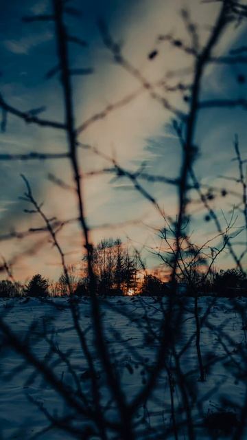 Идеальный тренд для фотографов🔥 #фото #фотограф #прир смотреть онлайн