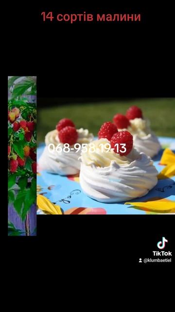 Ціна від 45 грн. саджанці малини можна придбати на сайт? смотреть онлайн