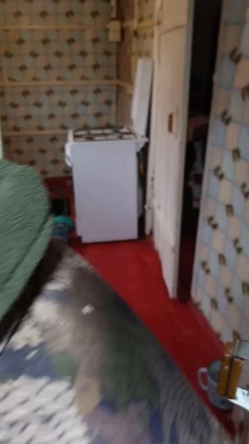 Абиссинка 50 пнд/✅Заказать скважину Волгоград + Волгог смотреть онлайн