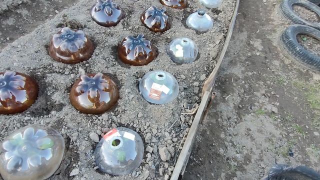 Дачный сезон 18.05.2025. Посадка капусты и гороха